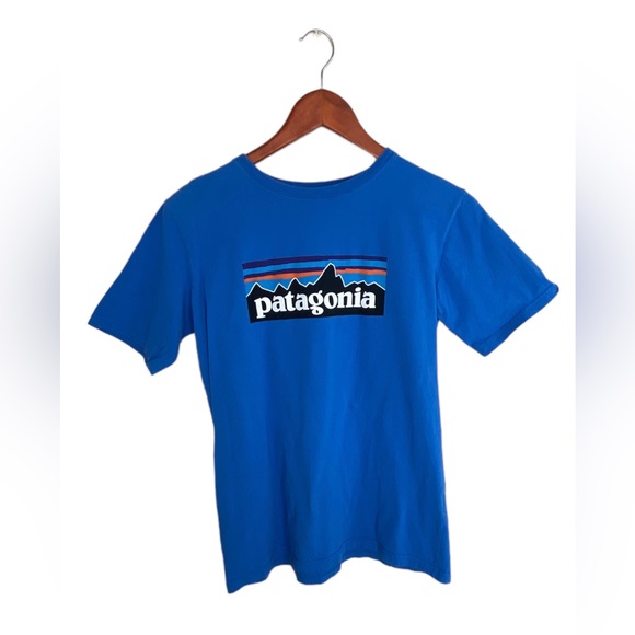 Patagonia Other - Patagonia T-Shirt, Blue. Sz. XXL (16/18)
